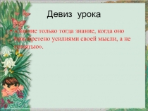 Презентация к уроку биологии на тему  Деление царств на группы