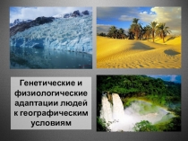 Презентация Генетические и физиологические адаптации людей к географическим условиям