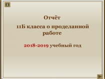 Отчёт 11 Б класса за 2018-2019 учебный год