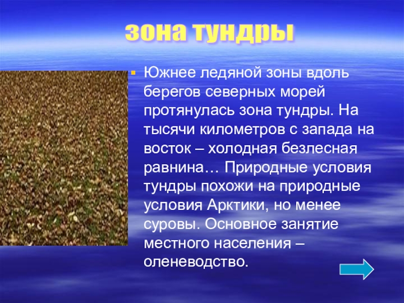 Эта природная зона протягивается вдоль северного побережья. Хозяйство в арктической пустыне. Сообщение ледяные пустыни, тундра. Информация о природной зоне тундры. История об зоне тундры.