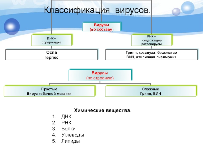 Классификация вирусов схема. Классификация вирусов. Систематика вирусов. Классификация вирусов презентация. Классификация вирусов по составу.