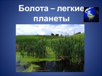 Презентация Болота - лёгкие планеты