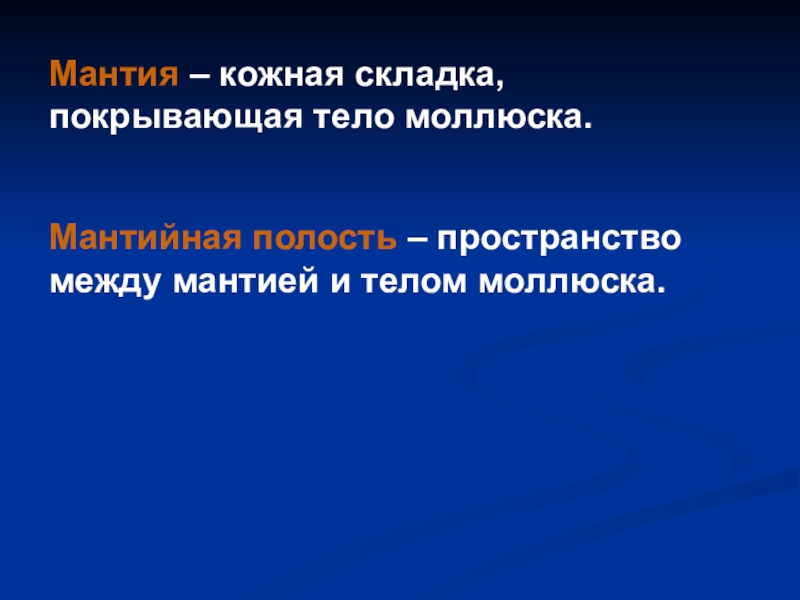 Мантийная полость. Мантия и мантийная полость. Мантийная полость это полость между у моллюсков. Мантийная полость находится между.