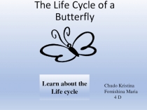 Презентация по английскому языкуБабочка 4Класс