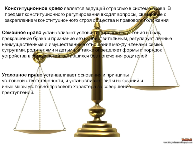 Конституционное право регулируемое. Конституционно ерпаво это. Конституционное право является. Конституционное право является отраслью:. Конституционное право является ведущей отраслью.