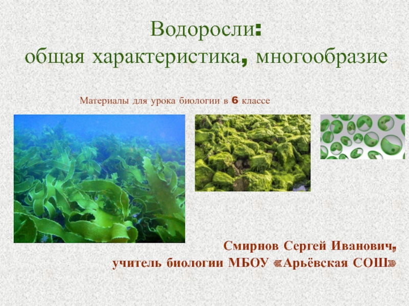 1 класс водорослей. Водоросли доклад 6 класс биология. Характеристика водорослей. Презентация на тему водоросли. Водоросли биология презентация.