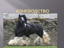 Животноводство Коневодство