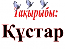 Презентация : Құстар тіршілігі