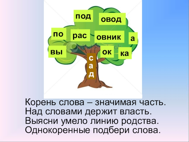 Проект слова корень