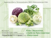 Презентация по биологии на тему Класс Двудольные. Семейство Крестоцветные (6 класс)