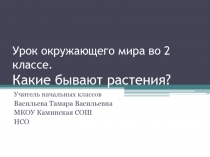 Урок окружающего мира с использованием технологии развития критического мышления - метод Фишбоун
