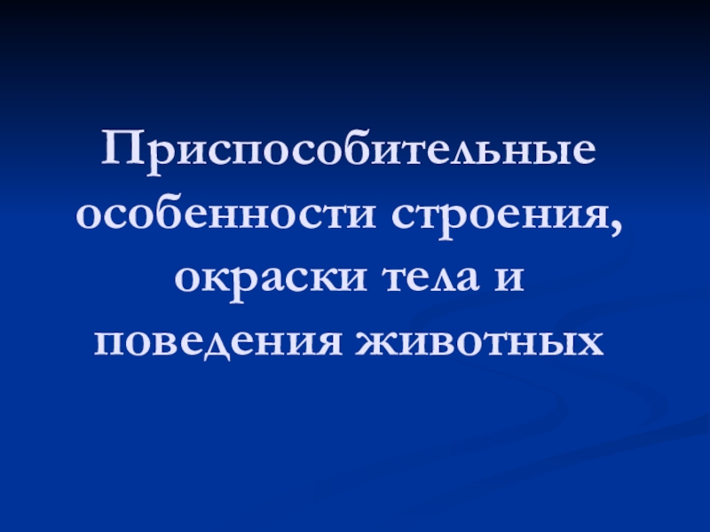 Презентация особенности строения и поведения представителей отряда хоботные их роли в жизни человека