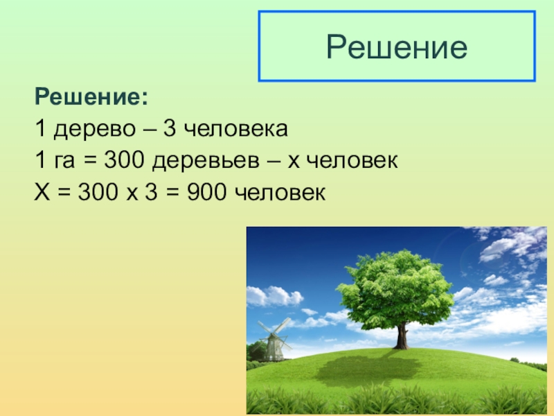 300 деревьев. Интересные факты про дыхание растений. План урока дыхание растений 6 класс презентация. Формула дыхания растений 6 класс. Дыхание растений 6 класс карточки.