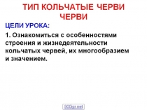 Презентация по биологии Кольчатые черви 7 класс