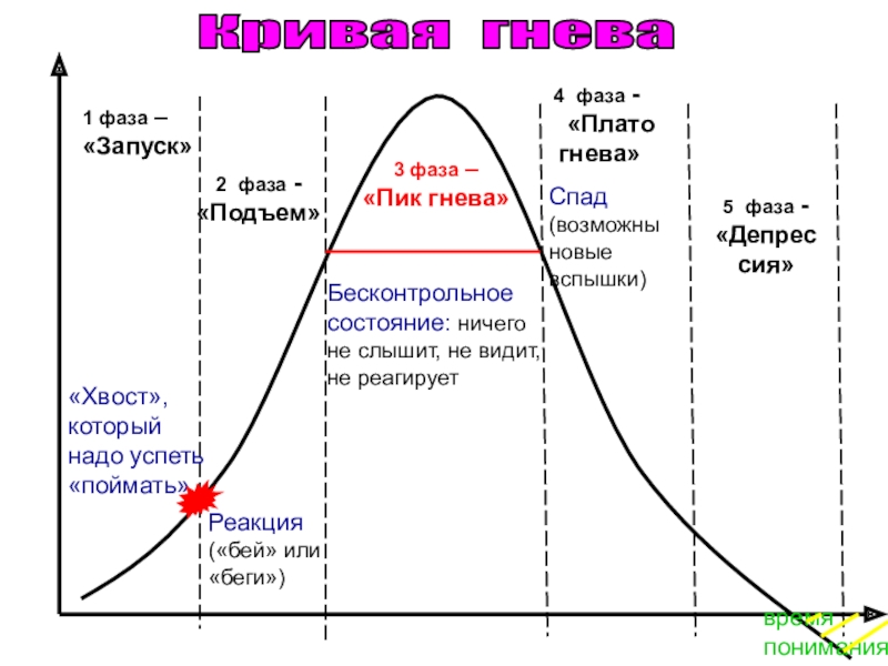 Фаза подъема деловой активности