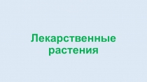 Лекарственные растения