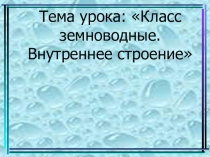Урок биологии 7 класс по теме Внутреннее строение земноводных