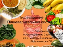 Презентация по биологии на тему Пищеварение