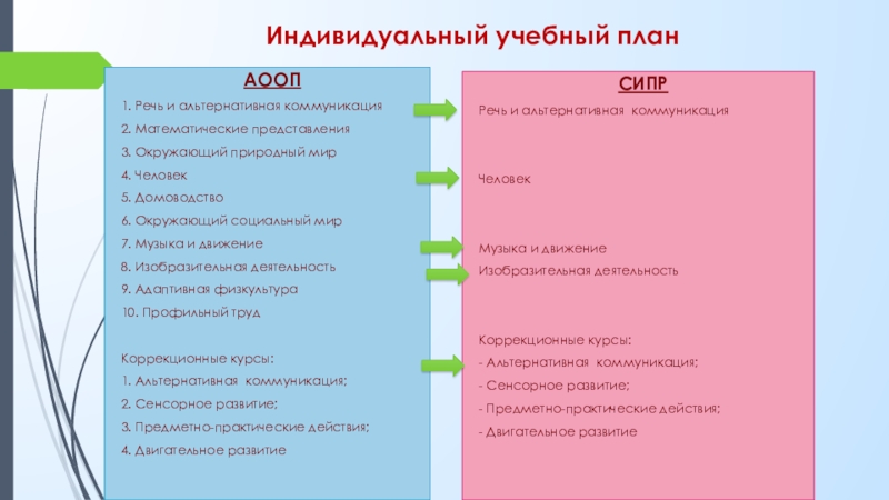 Специальная индивидуальная программа развития индивидуальный учебный план