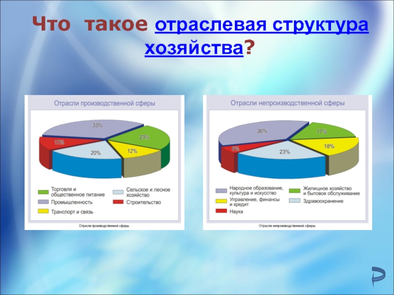 Структура хозяйства это. Отраслевой состав.