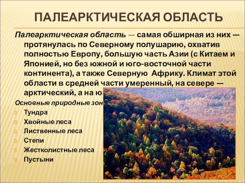 Климатические условия хвойного леса. Палеарктическая область климат. Палеарктическая область биомы. Неарктическая область презентация.