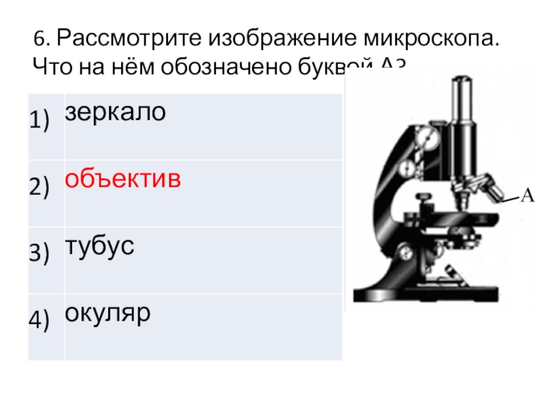 Ольга на уроке изучал устройство цифрового микроскопа и делал соответствующие подписи к рисунку