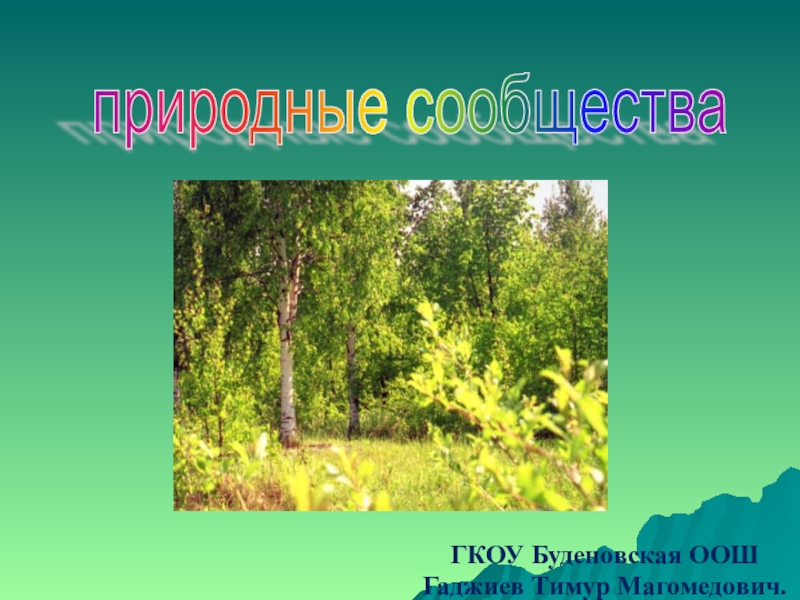 Природные сообщества цивилизация. Природное сообщество Челябинской области. Природные сообщества Ивановской области. Тему Приморского края сообщение на тему природные сообщества.