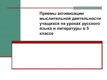 Приемы активизации мыслительной деятельности учащихся на уроках русского языка и литературы в 5 классе