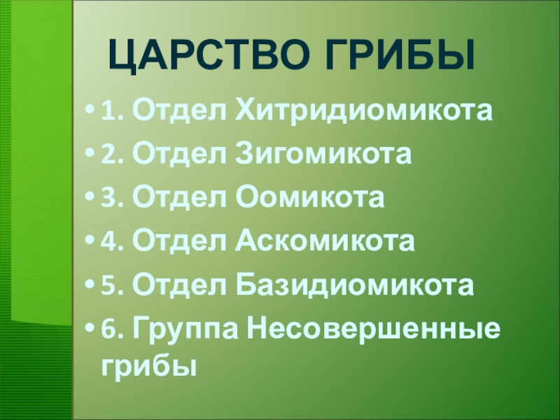 Царство грибы 7 класс биология презентация