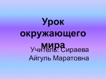 Презентация по окружающему миру Природные зоны 4 класс