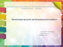 Презентация Организация прогулки детей дошкольного возраста