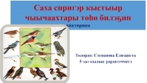 Презентация по биологии на тему Птицы 5 класс