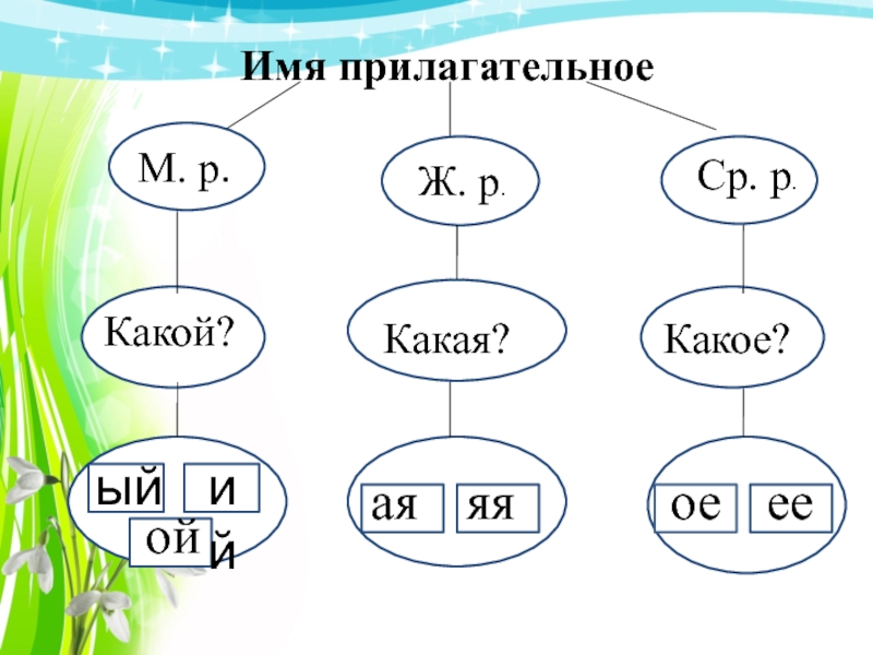 Изменение имен прилагательных по числам презентация