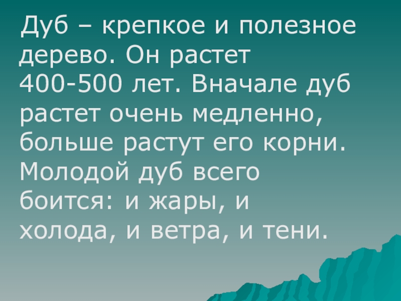 Дуб – крепкое и полезное дерево. Он растет 400-500 лет. Вначале дуб растет очень медленно, больше