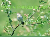 Презентация Охрана природы весной 2класс