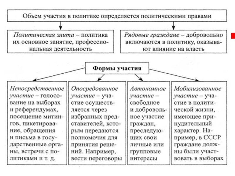 Многообразие форм политического участия граждан в условиях демократического общества сложный план