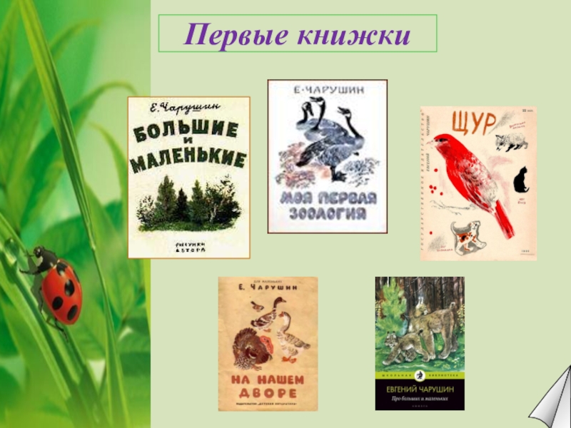 Рассказ чарушина 2 класс. Чарушин первая книга. Первые книжки Чарушин. Евгений Чарушин 1 класс. Чарушин 1 слайд презентации.