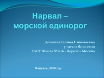 Презентация по биологии на тему Нарвал - морской единорог
