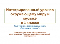 К уроку Кто такие птицы?