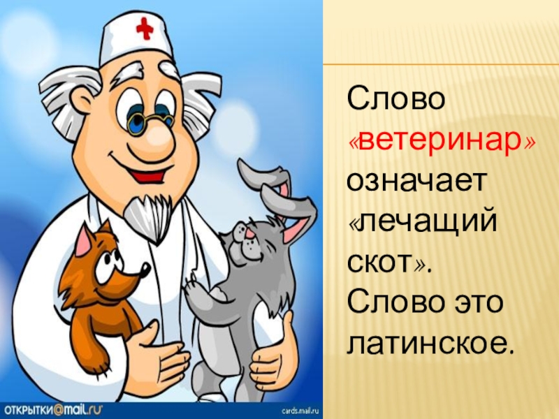 Ветеринар по английски. Ветеринар презентация. Девиз ветеринаров. Стих про ветеринара. Загадки про ветеринара для детей.