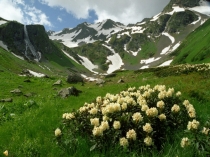 Презентация по кубановедению Символика Краснодарского края 4 класс