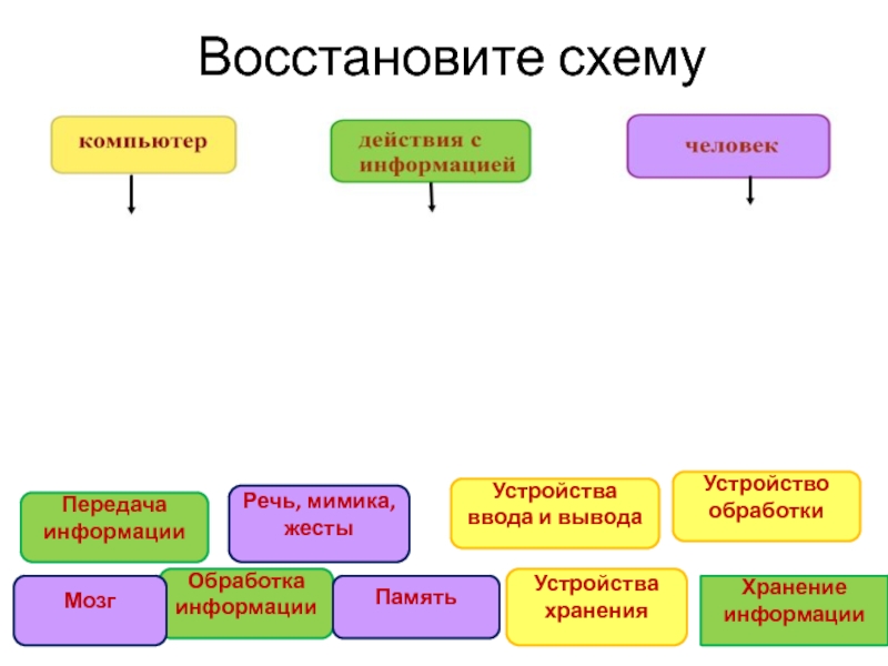 Схема восстановления. Восстановите схему передачи информации.. Восстанови схемы. Мозг хранение информации устройство.