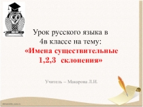 Презентация к уроку по русскому языку на тему: Имена существительные 1, 2, 3 склонения