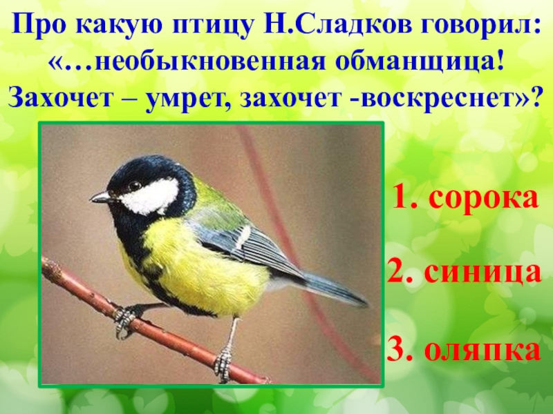 Птица носит название части музыкального инструмента. Какая птица носит название музыкального инструмента. Какая птица носит название танца. Синяя птица Сладков о какой птице идет речь. Какая птица носит название фрукта ответ.