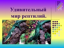 Удивительный мир рептилий