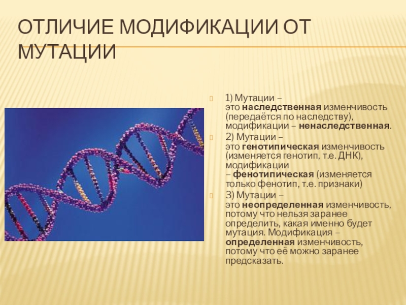 Презентация 9 класс мутации