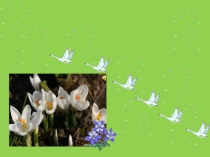 Презентация по литературному чтению  Весна - художник