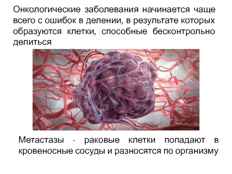 Болезни 9. Раковая клетка строение. Деление опухолевых клеток. Нарушения строения и функций клеток. Строение раковой клетки.