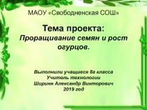 Презентация проекта по технологии на тему Проращивание семян и рост огурцов