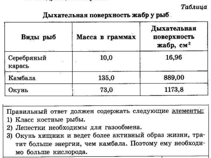 Используя таблицу 5. Пользуясь таблицей дыхательная поверхность жабр у рыб. Дыхательная поверхность жабр у рыб таблица. У какой из рыб отношение дыхательной поверхности к массе тела больше. Дыхательная поверхность жабр у рыб.